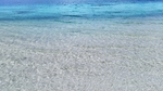 大海