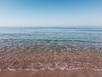 大海