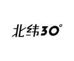 艺术字  LOGO  标志
