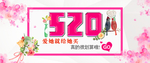 520海报