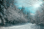 冰雪