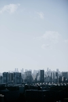 城市
