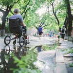 夏日唯美绿色街头风景