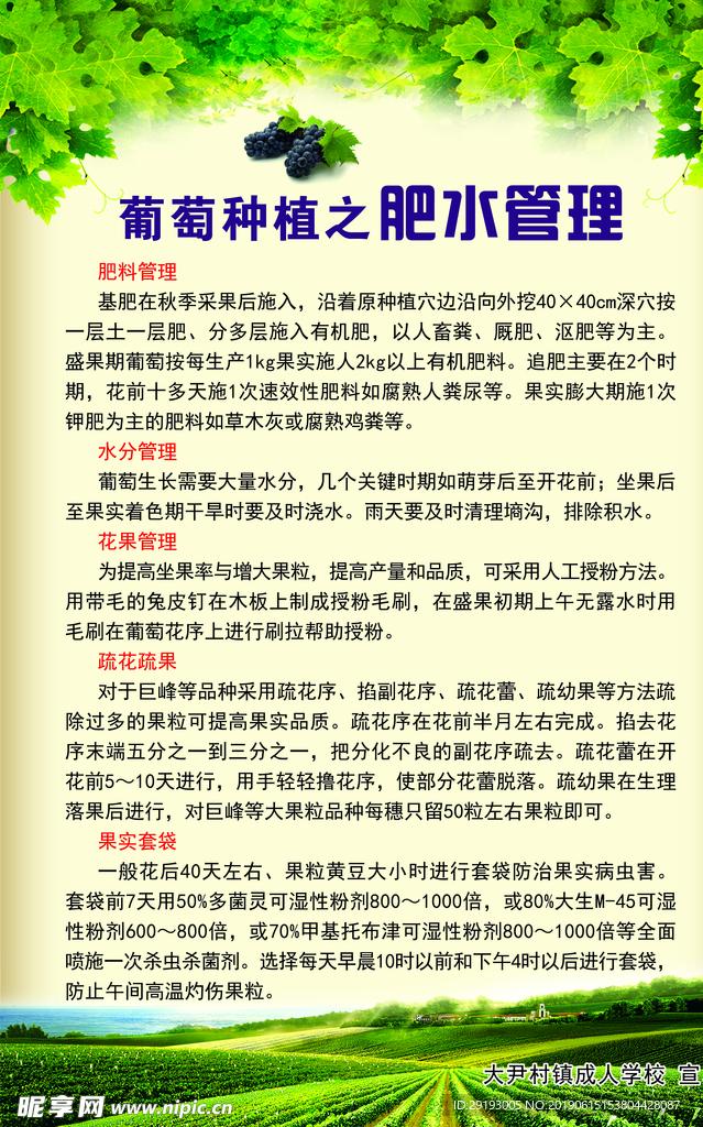 肥水管理