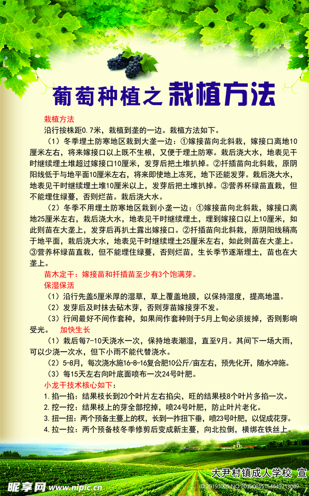 栽种方法