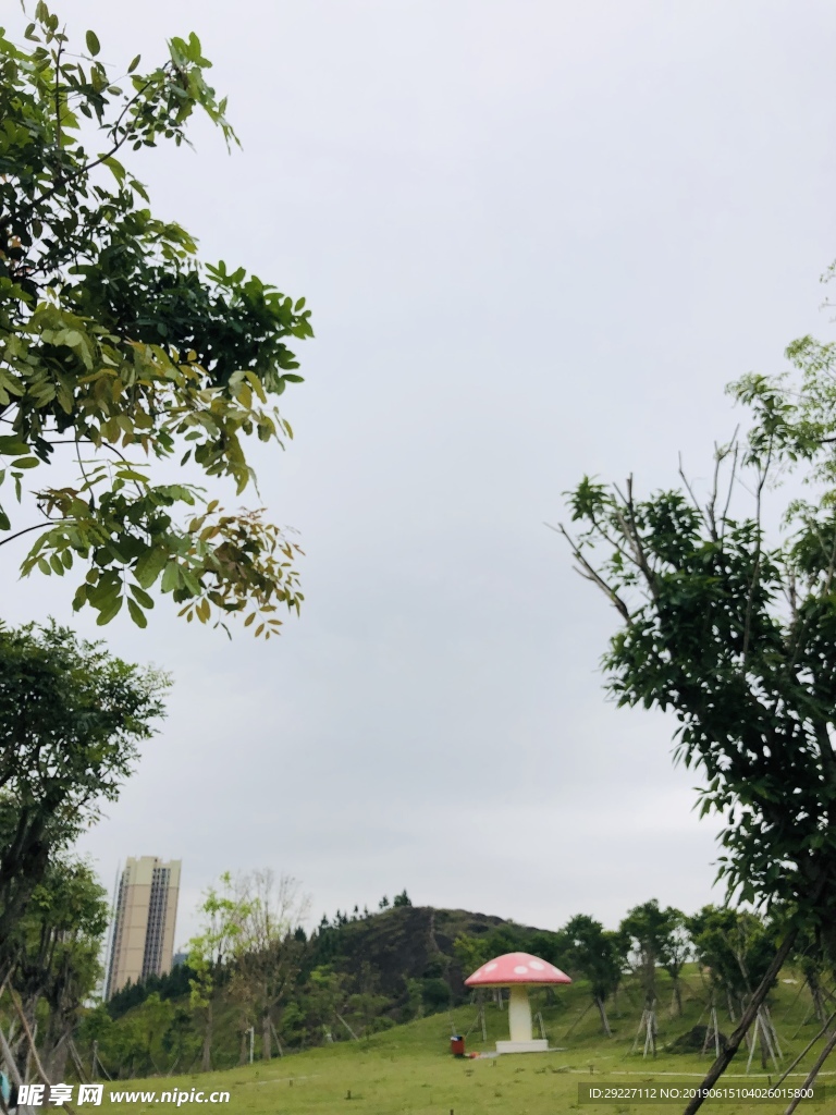 雨后天空