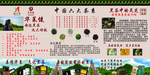 黑茶
