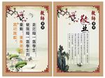 教师展板