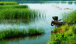 徐州风景 鄱安湖湿地