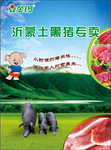 沂蒙土猪