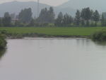 河水