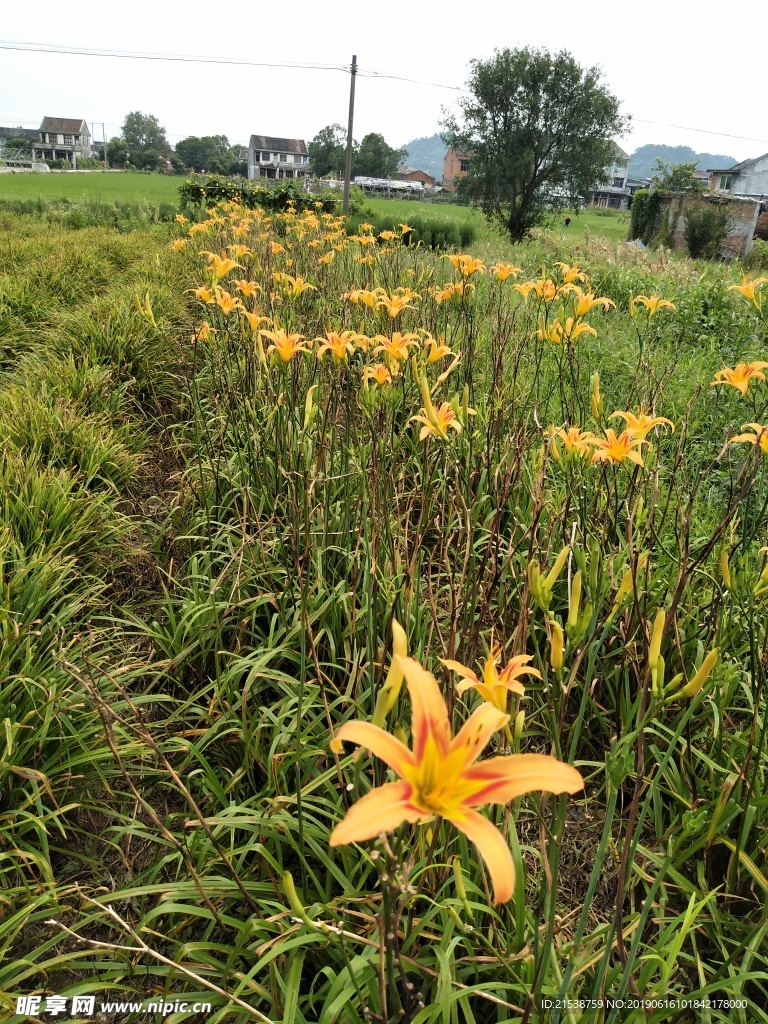 风景