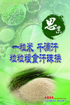 节约粮食