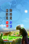 节约粮食