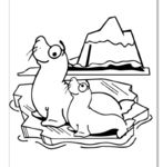 简笔画海狮