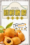 新鲜枇杷