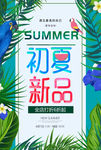 初夏新品