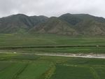 自然景观 蓝天白云 绿色草原