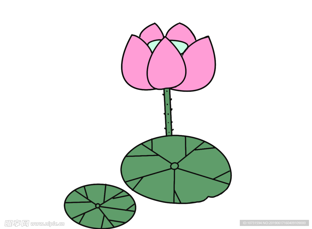 淡粉色荷花