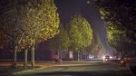 夜晚的公路