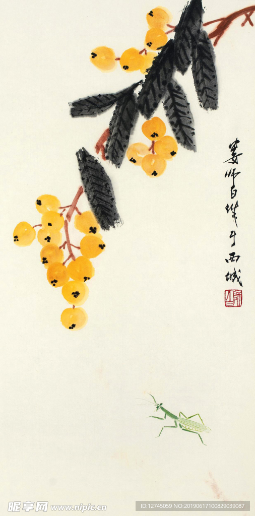 枇杷草虫