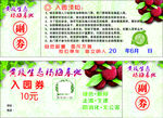 杨梅优惠券