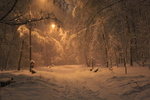 傍晚大雪