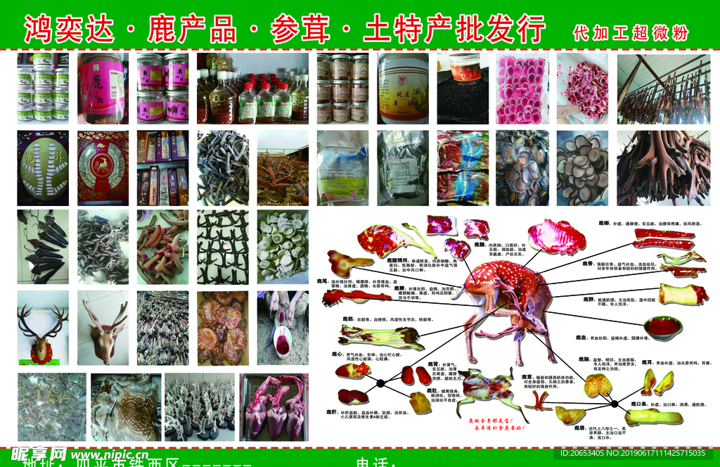 人参鹿茸 传单 鹿血