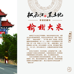画册内页