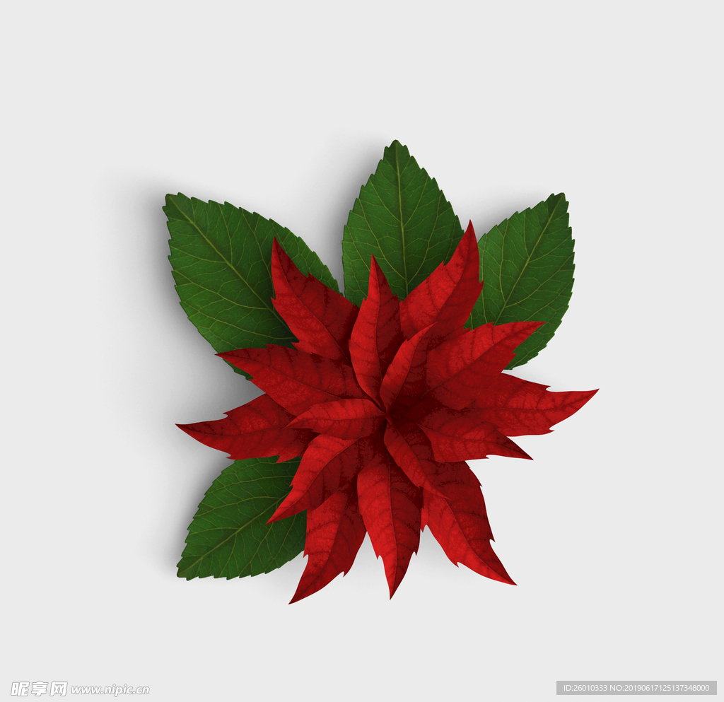 花草