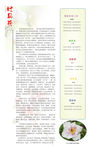 报纸排版