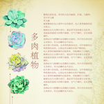 多肉