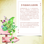 多肉植物