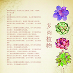 多肉植物海报