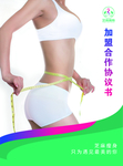 单页