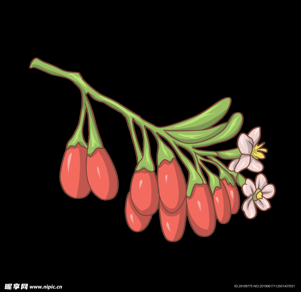 手绘枸杞