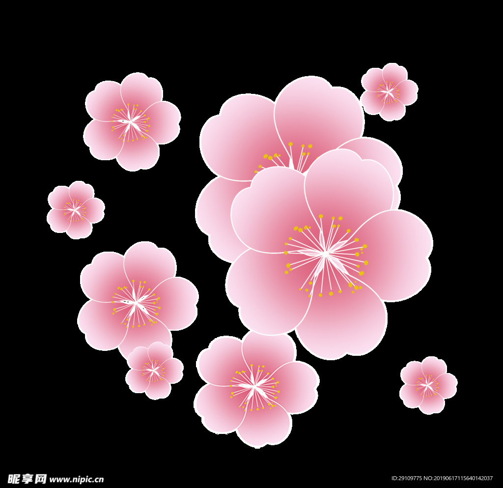 樱花