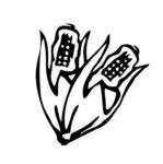 简笔画玉米
