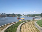 公园风景 湖