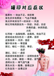 拔罐