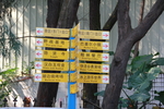 路标