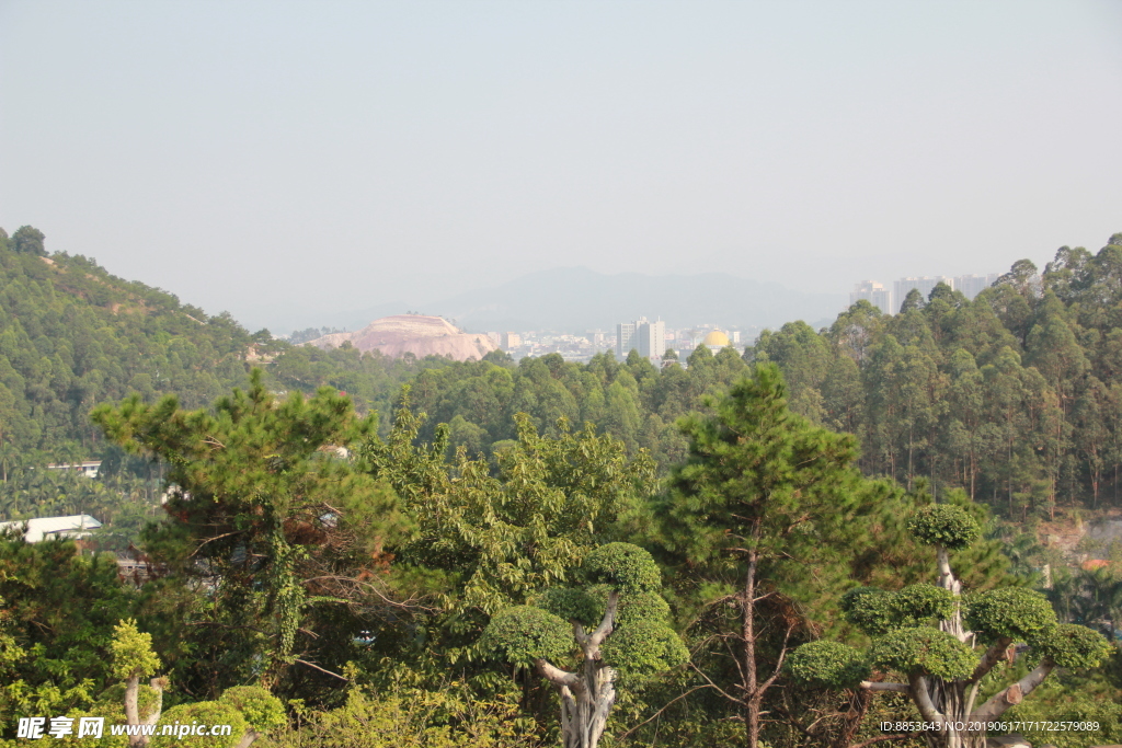 山上俯视城市