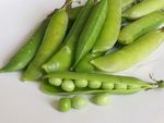 豌豆