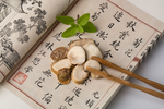 贝母