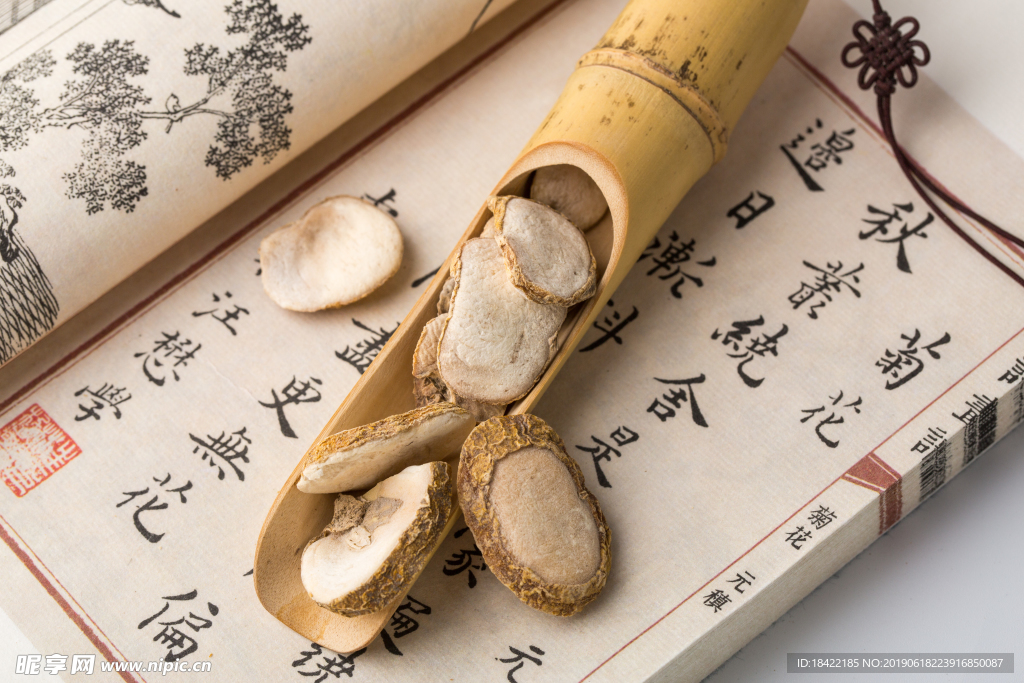 贝母