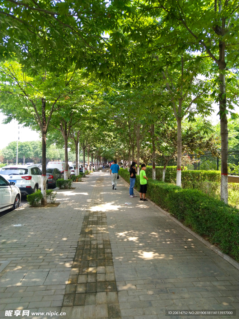城市公园美景