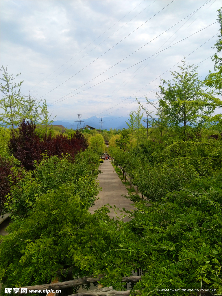 美丽的公园风景