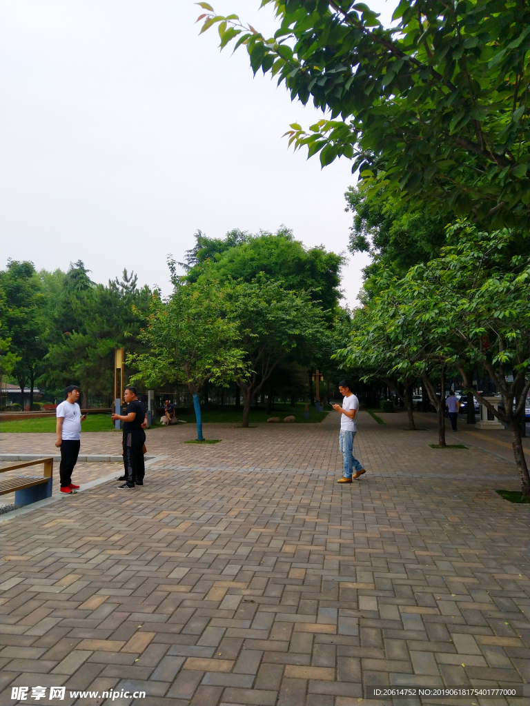 城市公园风景