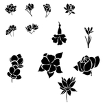 黑色简约唯美花