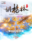 胡杨林